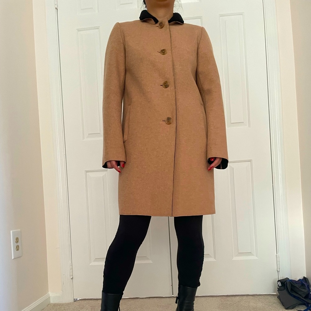 Maje coat